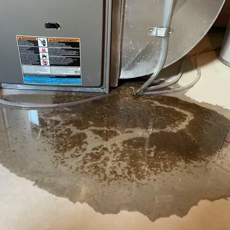 Appliance Leak Cleanup in Concho County, TX